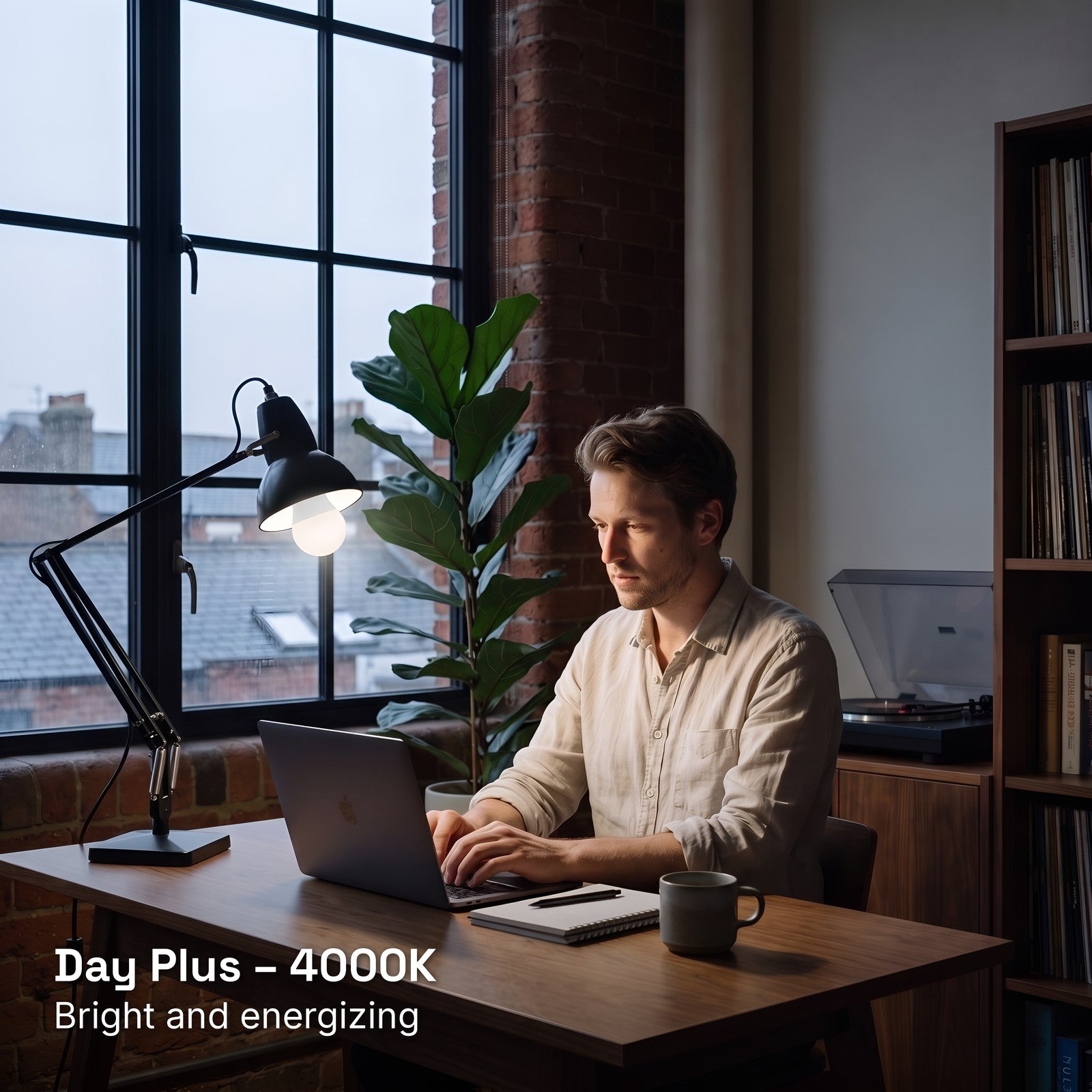 Day Plus Mode